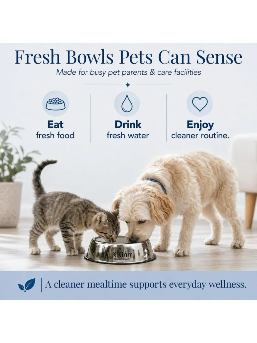 Stainless Steel Pet Bowls Set of 2 - 24 oz, Durable & Easy to Clean Design